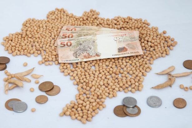 Monte de soja em grão formando mapa do Brasil. Sobre ele, três notas de 50 reais. Ao redor, moedas de diversos valores