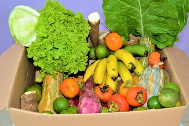 alimentos