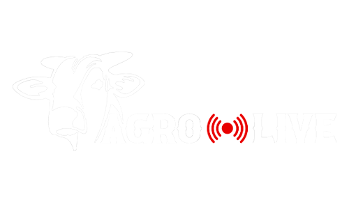 Agro Live Leilões