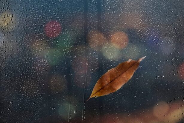 chuva