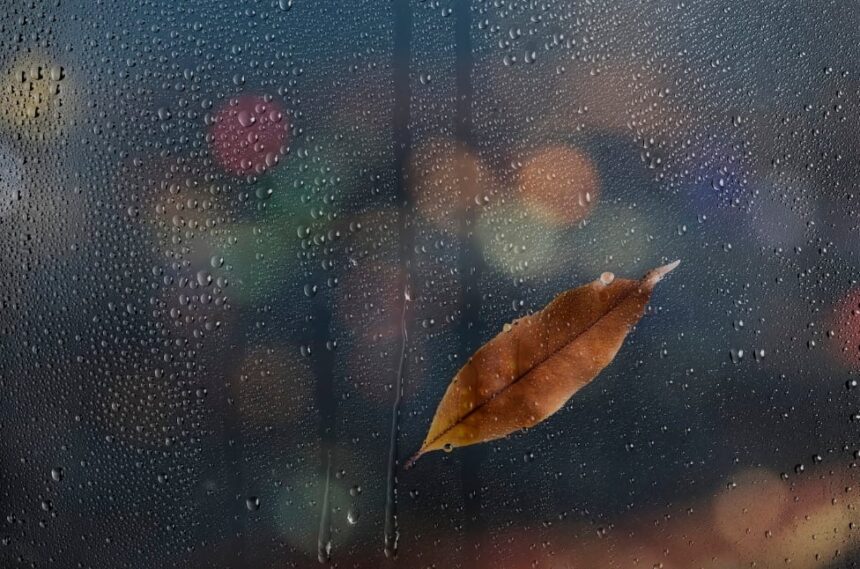 chuva
