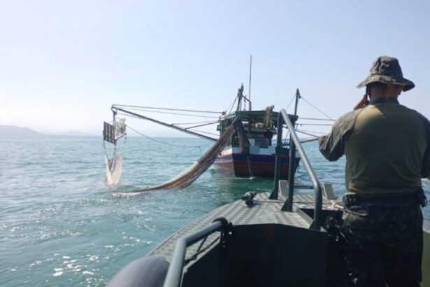 Peixe, camarão, Polícia Militar Ambiental