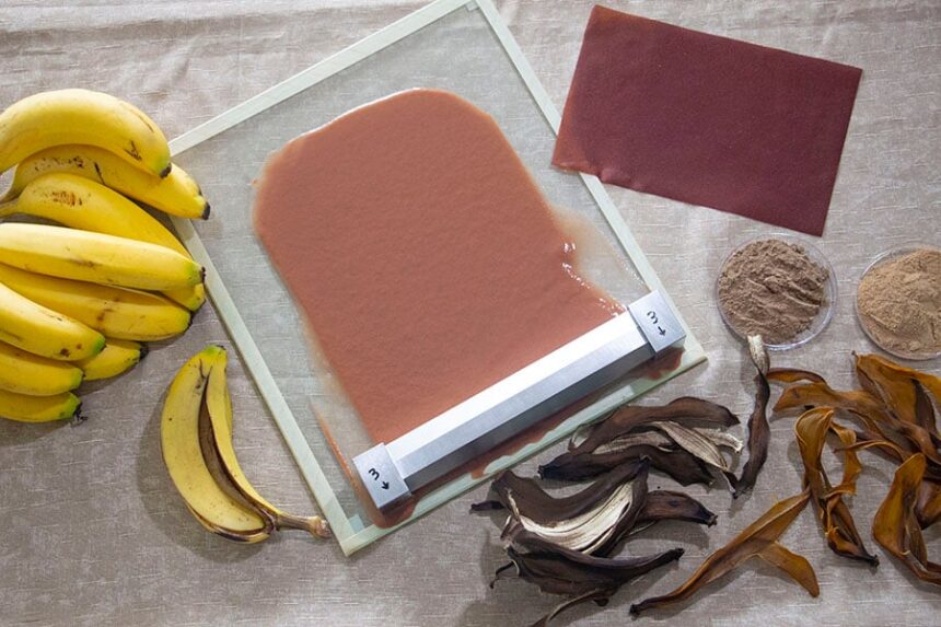 Bioplástico com casca de banana