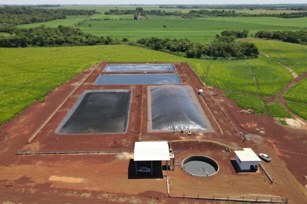 Produtores de suínos da Seara geram energia elétrica a partir de dejetos de animais