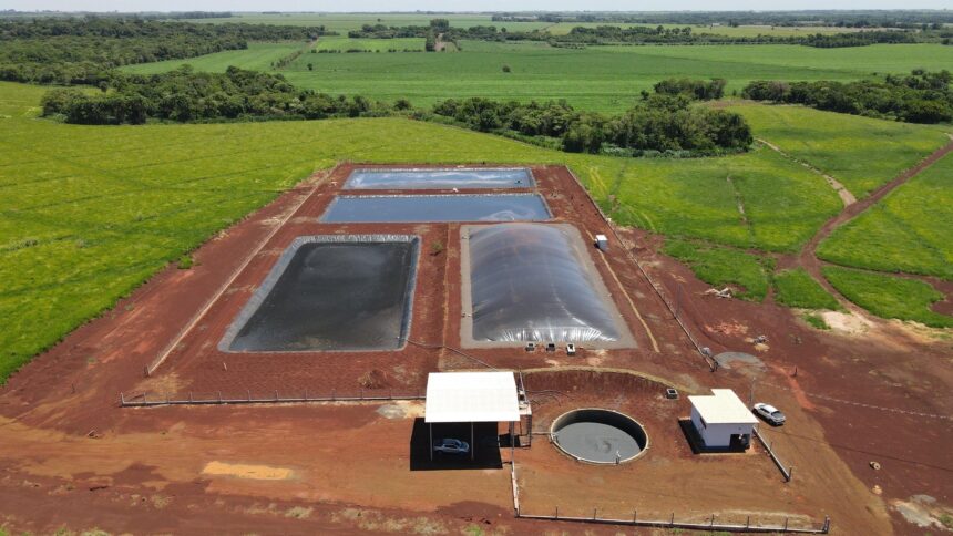 Produtores de suínos da Seara geram energia elétrica a partir de dejetos de animais
