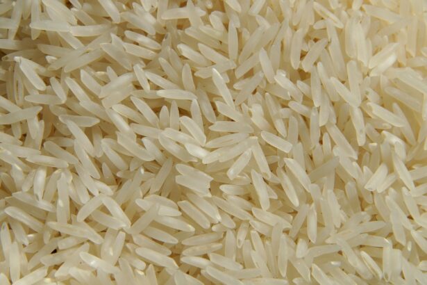 arroz