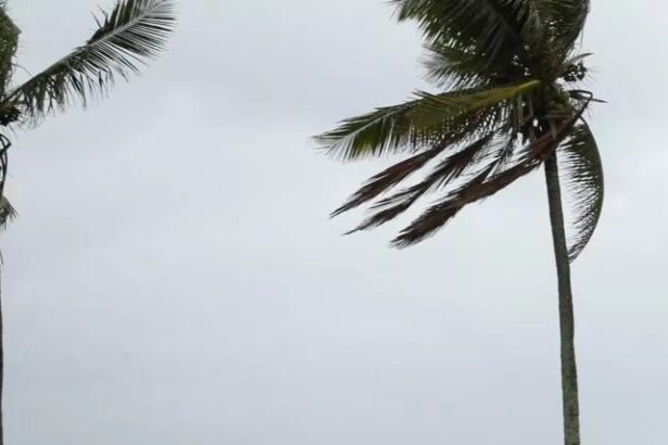 ciclone extratropical - agencia brasil - frente fria