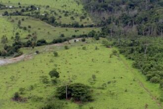 declaração itr, vtn, faep, valor de terra nua