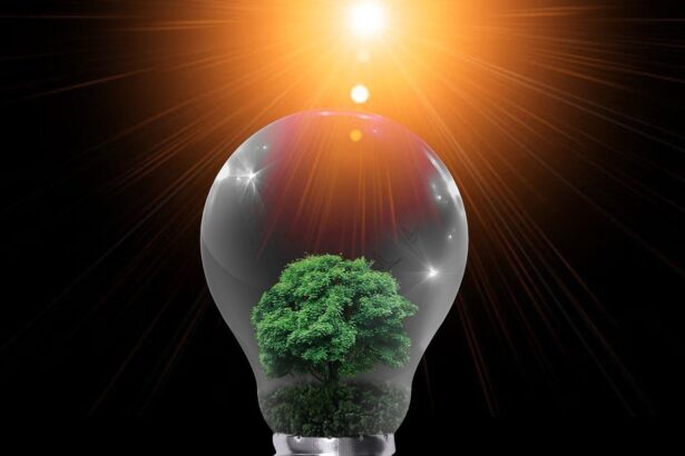 ideia verde ESG
