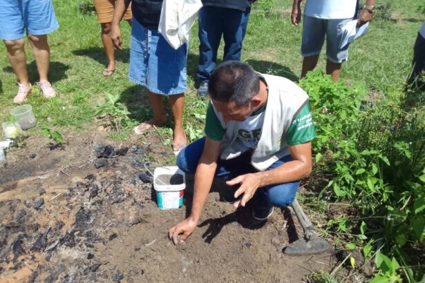 Governo do Amazonas; curso profissionalizante