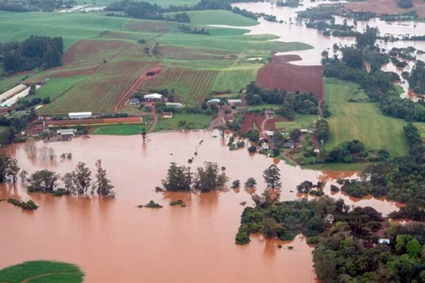 Solo; recuperação; Rio Grande do Sul