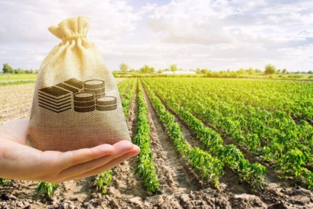 crédito rural, CNA, dívida, dívidas
