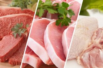 suínos, aves, bovino, carne - exportações de carnes, custos, frango