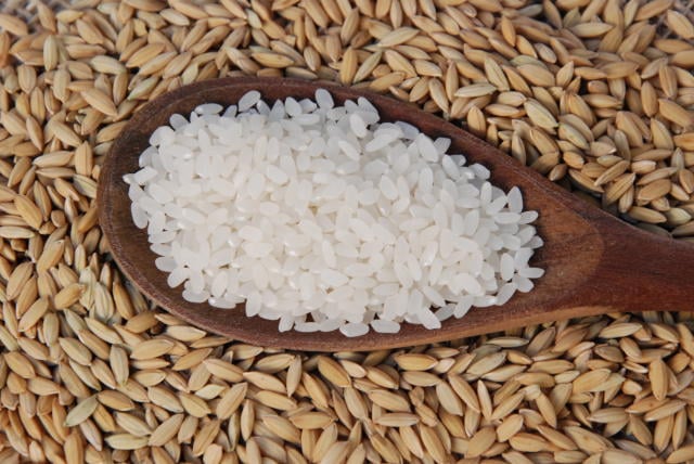 Arroz