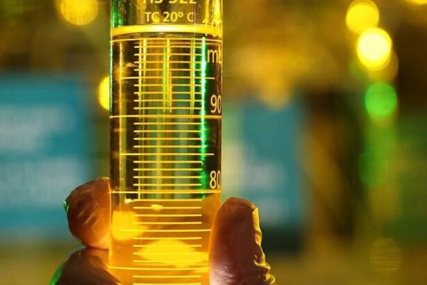 Aprobio, biocombustíveis, biodiesel
