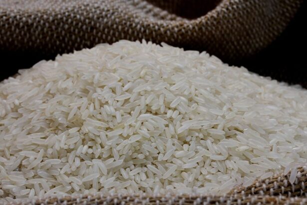 Indústria lança primeiro arroz rastreado com tecnologia da Embrapa