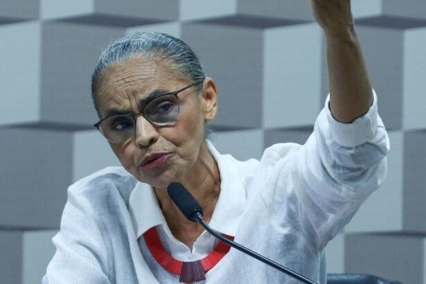 Marina Silva, Senado