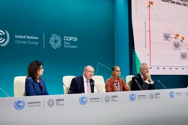 Brasil COP29 - meta de redução de emissões