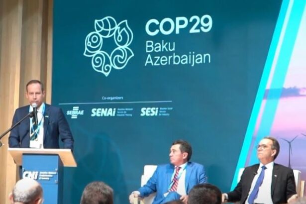 COP29