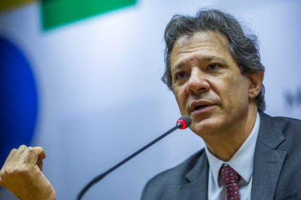 fernando haddad, Plano Safra