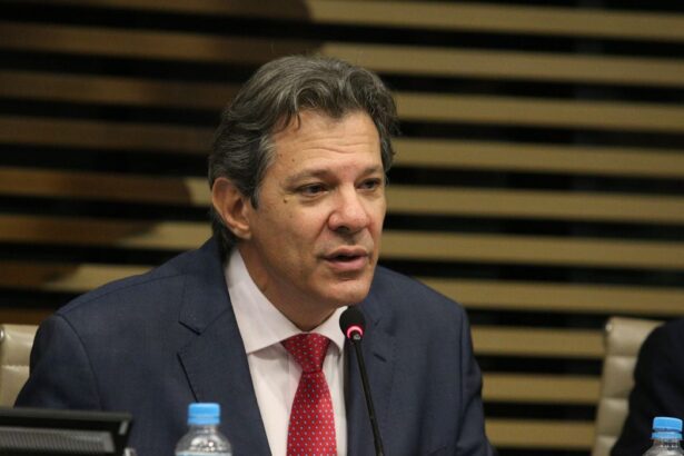 Ministro Fernando Haddad, IVA