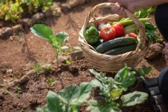 sustentabilidade agrícola Brasil Brics
