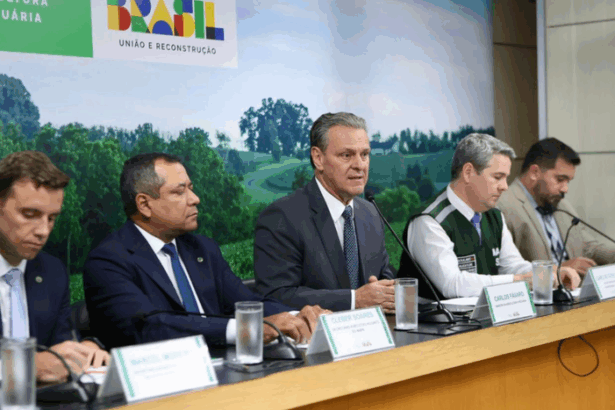 Ministro Carlos Fávaro - coletiva de imprensa gripe aviária