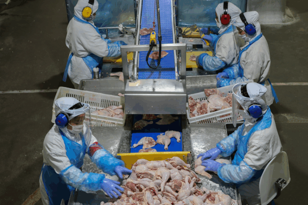 carne de frango, seara, frigoríficos, aves, carnes, exportações