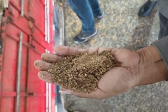 farelo de soja adulterado Porto de Paranaguá