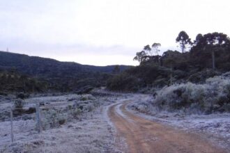 geada